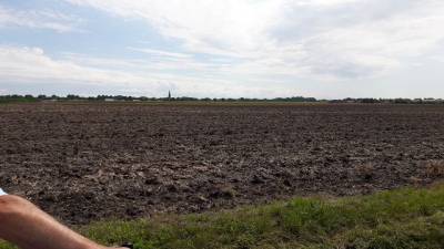 Bilck aus Erlte auf den Visbeker Kirchturm 